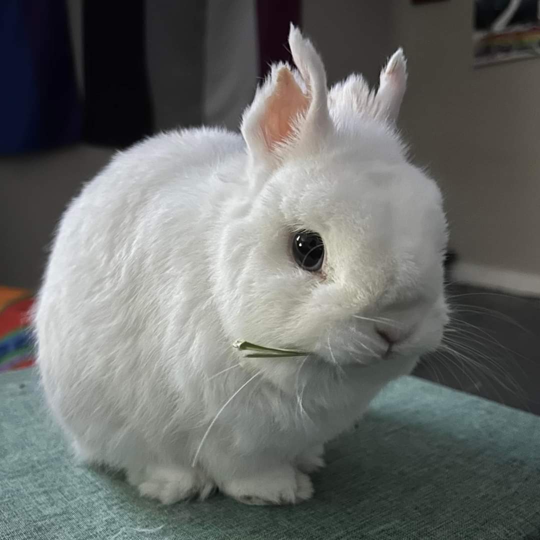 Cheyenne tweet media