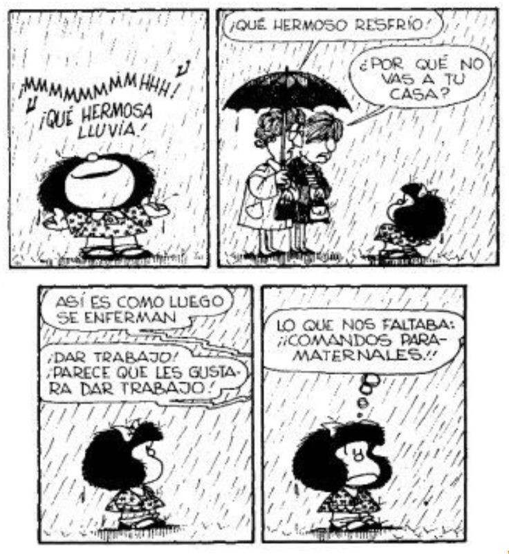 Buen día, en cada tormenta, hay una oportunidad para abrir un paraguas o bailar bajo la lluvia. ¡Elige la alegría y haz de cada gota una sonrisa! No crees? 😁☔ #FelizJueves