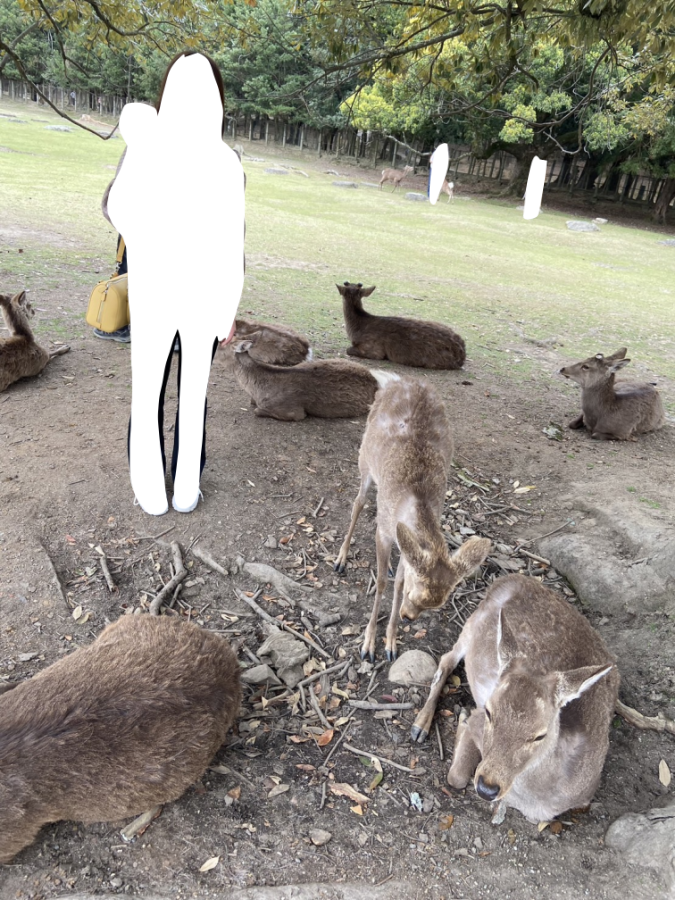 本日の進捗
カラオケの映像を描くのが困難なため、至急奈良公園に行った際の思い出を載せておきました。 