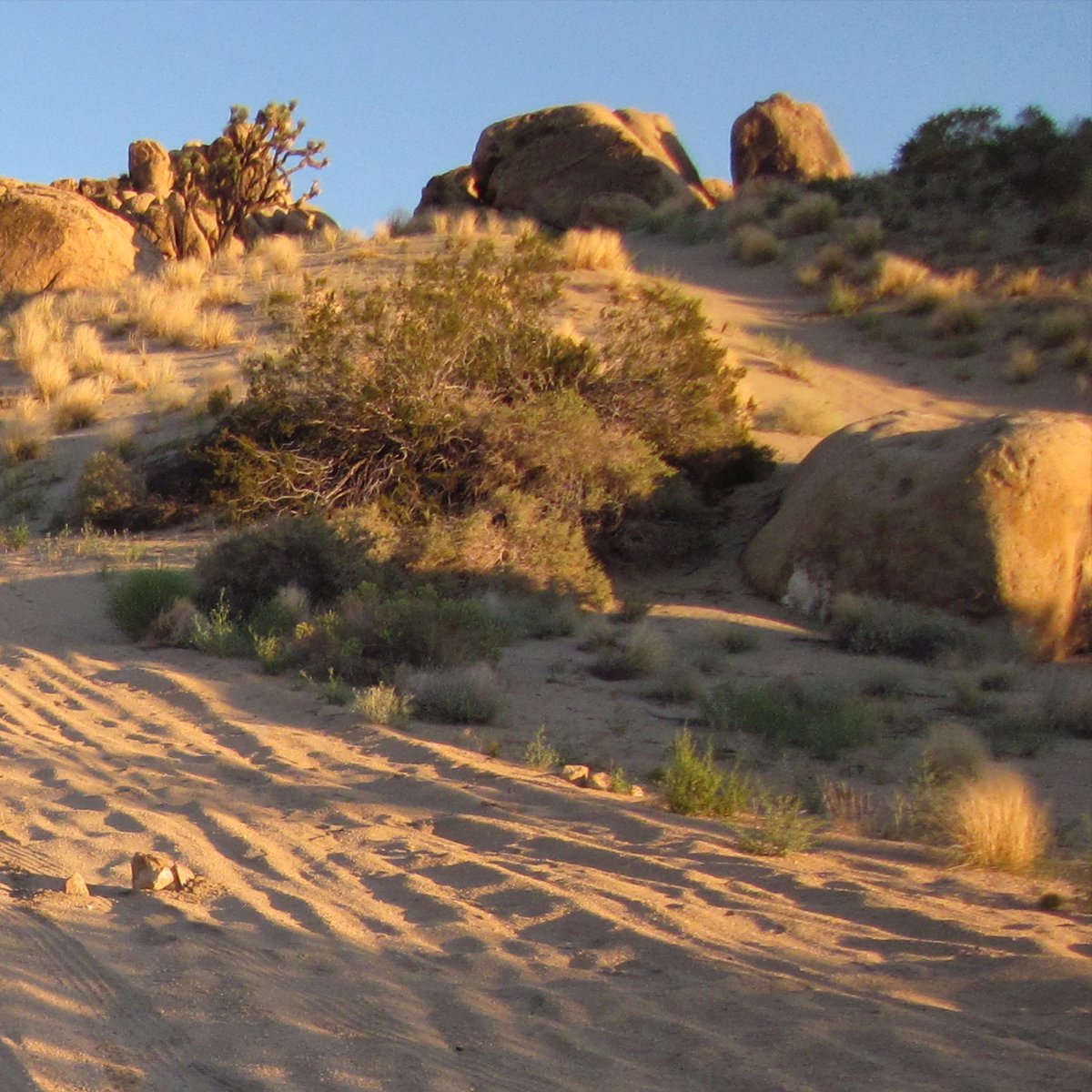 TAEMIN 태민 The 4th Mini Album 'Guilty' | Photo Dump

〖Guilty - The 4th Mini Album〗
➫ 2023.10.30 6PM KST

#TAEMIN #태민
#SHINee #샤이니
#Guilty #TAEMIN_Guilty