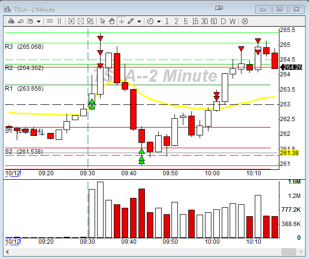 Brynn W. tweet media