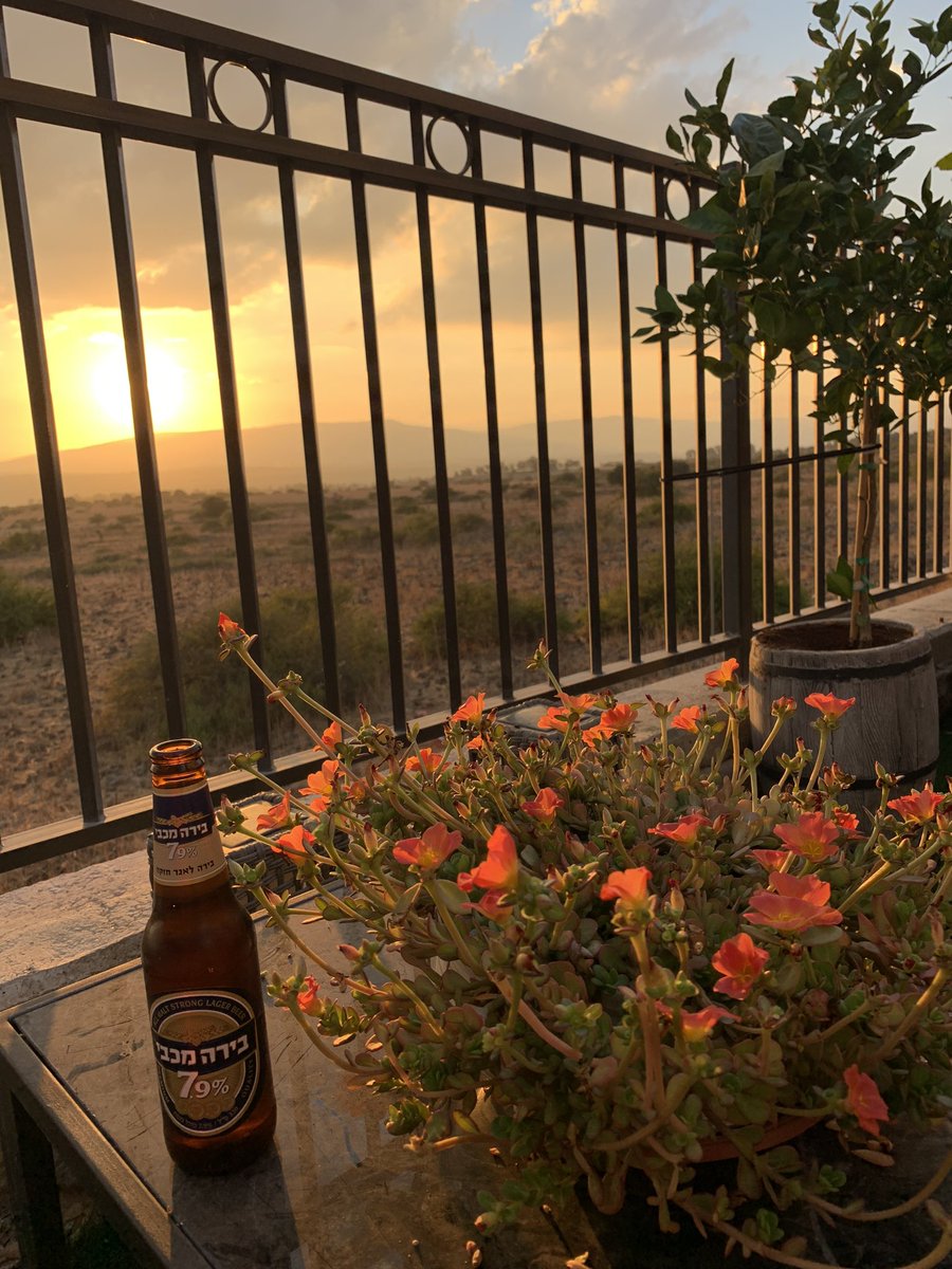 The war won’t stop me from living and being outside. 
But there’s a huge difference.
From being used to enjoying birds singing to army jets blasting by. 

We will win! 🇮🇱