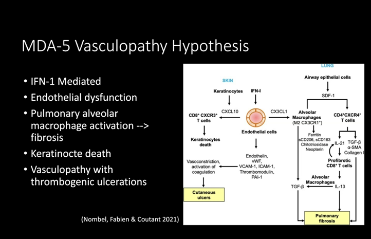 UTSWRheum tweet media