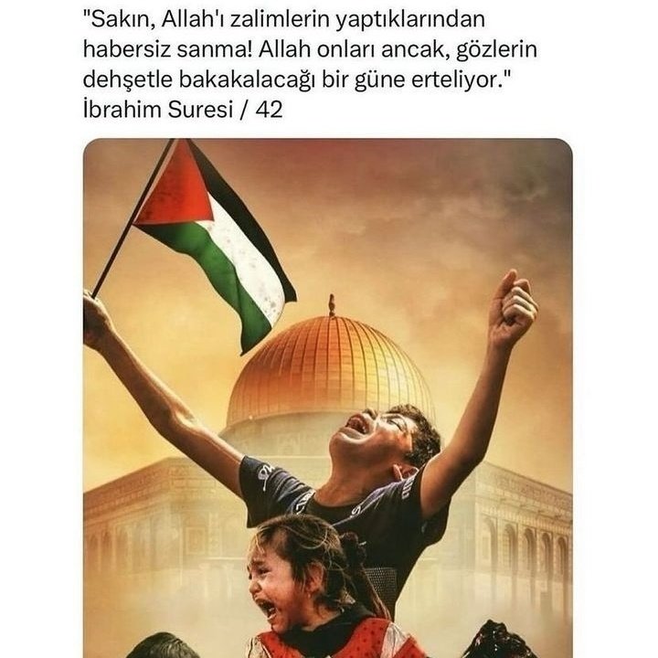 halil tweet media