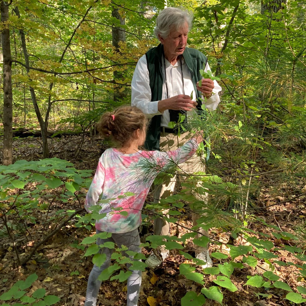 ConcordLibrary's tweet photo. Beautiful photos from the Library's own staffers Gay and Reni, capturing the educational and joyous nature walk on Sunday with author and contributor to the @thoreausociety, Peter Alden! 🌲 https://t.co/BOrbnIe7LS