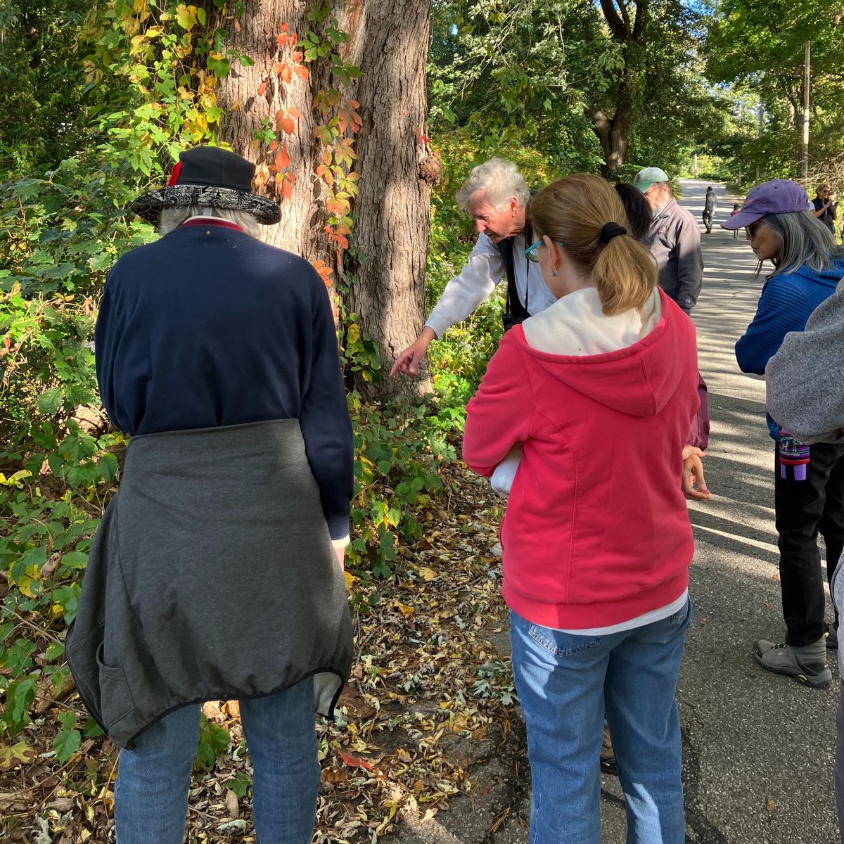 Beautiful photos from the Library's own staffers Gay and Reni, capturing the educational and joyous nature walk on Sunday with author and contributor to the @thoreausociety, Peter Alden! 🌲