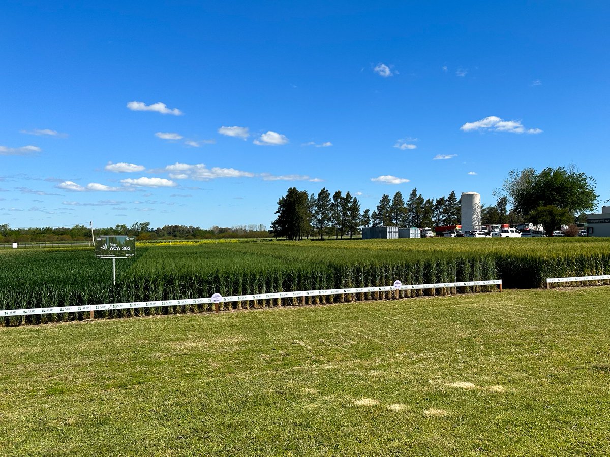 La ADP ZONE nos trajo temas de actualización sobre cómo las nuevas realidades tecnológicas atraviesan las prácticas agropecuarias y a nosotros mismos. 
Qué excelente evento! 

<a href="/adp_uruguay/">ADP</a> conectando propósitos, afianzando alianzas y conectando al campo uruguayo.