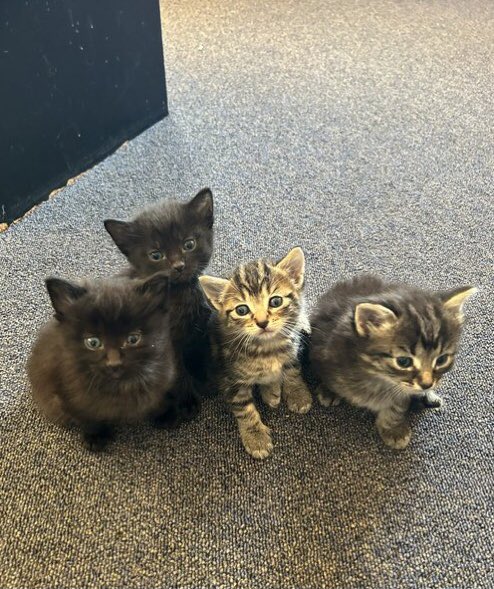 My best friends nvr can’t stop staring me down….hahaha 😝