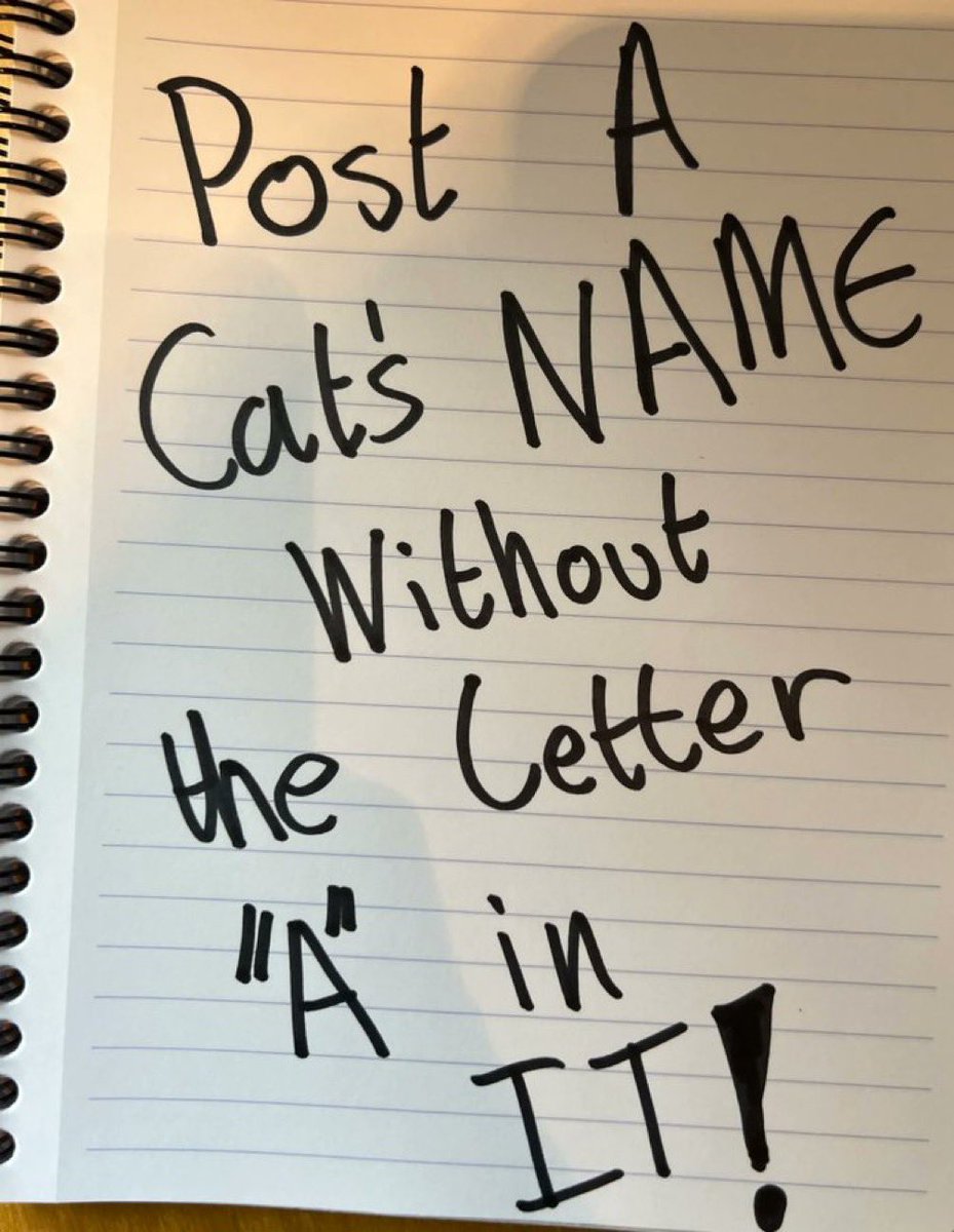 cats with powerful impression 🐾 tweet media