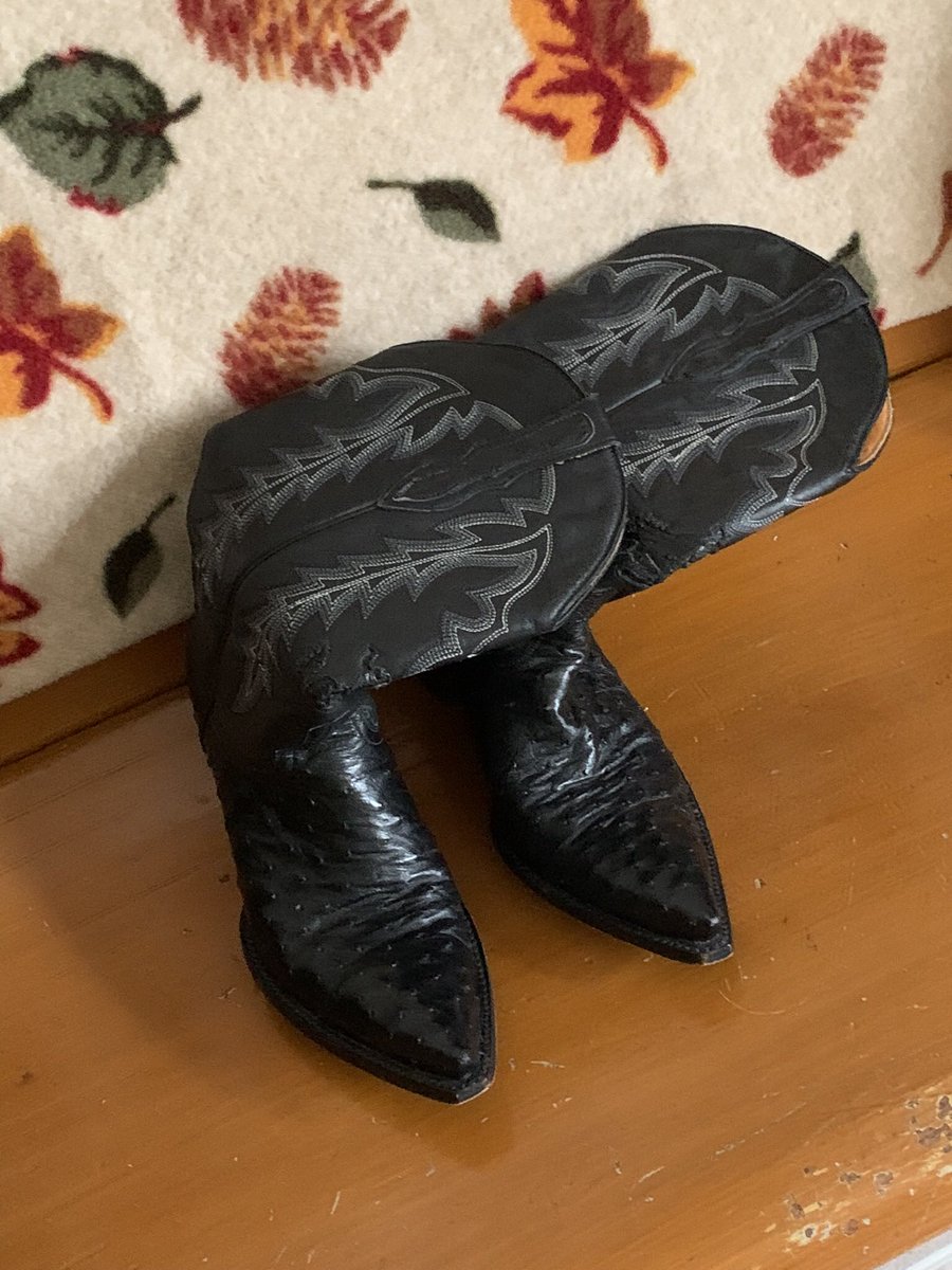 AnnieOkie77's tweet photo. Just a picture of my genuine ostrich boots #OldGringoBoots #OstrichBoots #TheseBootsWereMadeForWalking #HarryAndMeghanJealousyTour #HarryMarkle #HarrysBaldHead https://t.co/0DUGmUmh6f