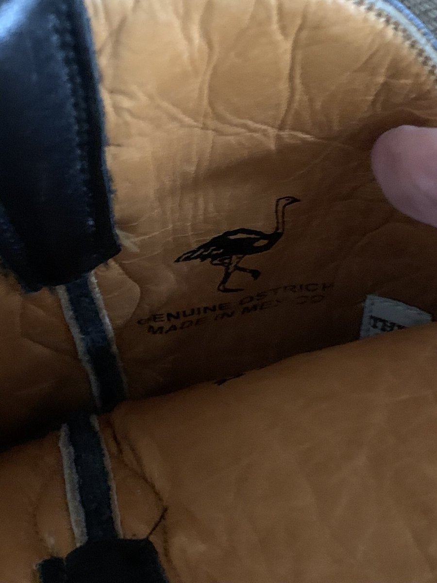 AnnieOkie77's tweet photo. Just a picture of my genuine ostrich boots #OldGringoBoots #OstrichBoots #TheseBootsWereMadeForWalking #HarryAndMeghanJealousyTour #HarryMarkle #HarrysBaldHead https://t.co/0DUGmUmh6f