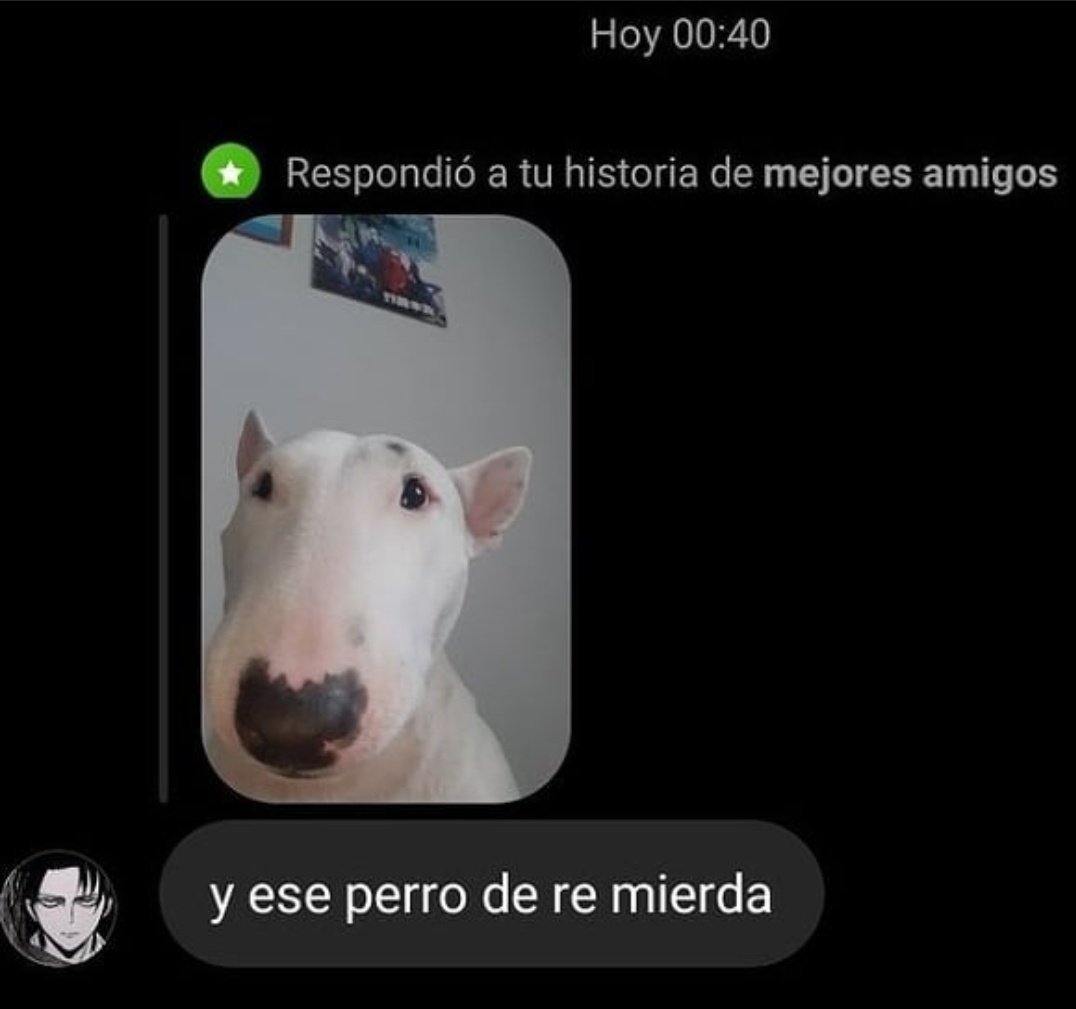 JURIOBOLUDO's tweet photo. y ese perro https://t.co/Okz5LNbM5G