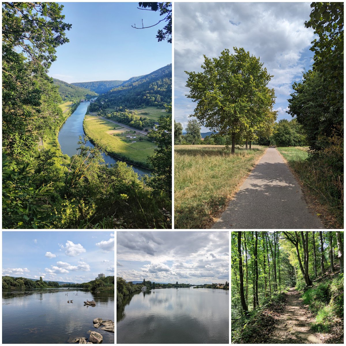 Unterwegs am Neckar
Von Ladenburg nach Heidelberg tinyurl.com/mufyx2sw
Eberbacher Pfad der Flussgeschichte
tinyurl.com/245tr5xu