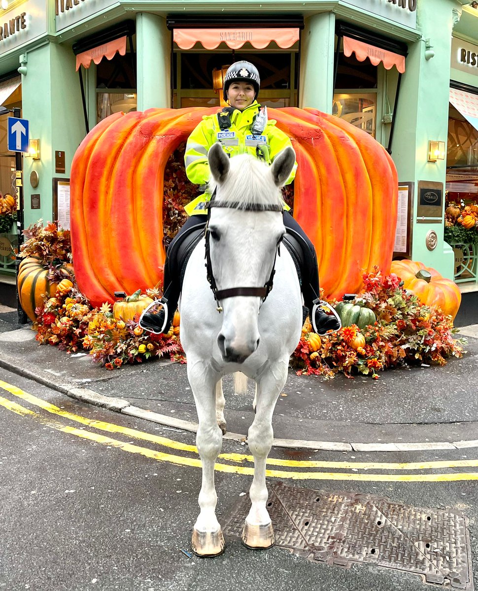 GMP Tactical Mounted Unit tweet media