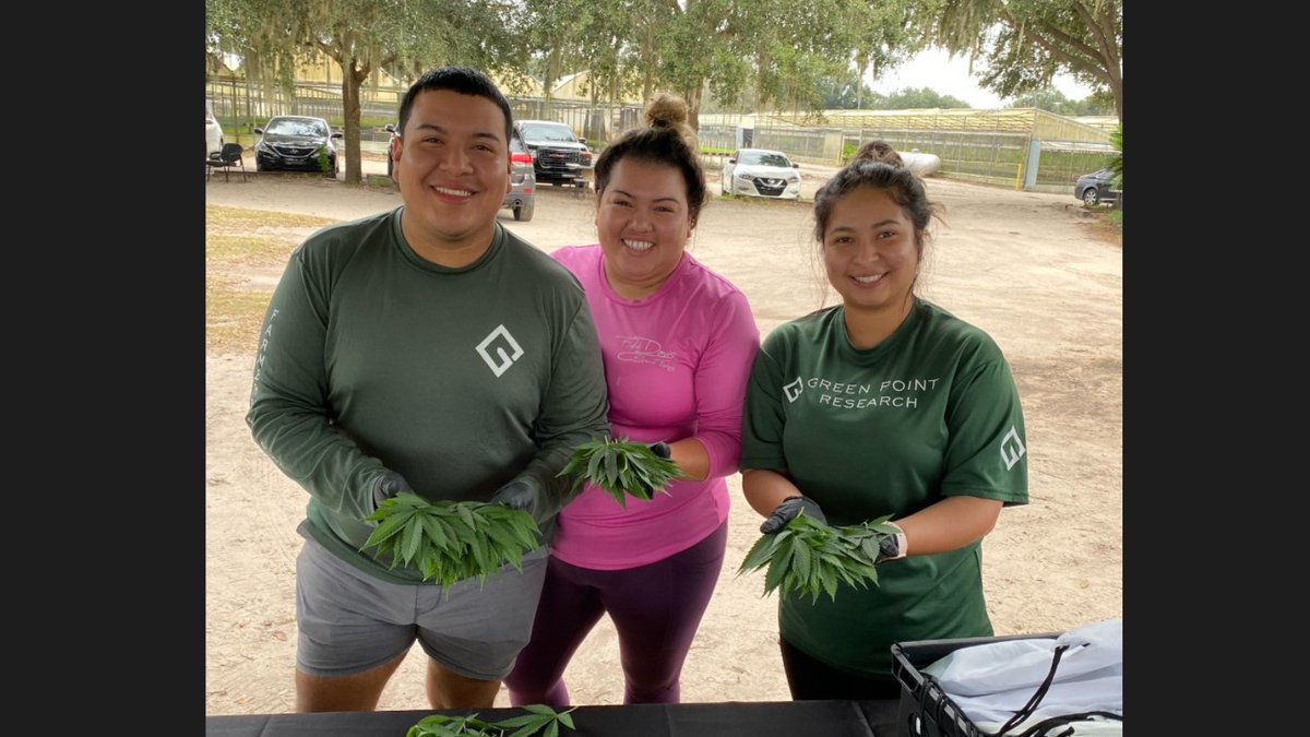 Green Point Hemp tweet media