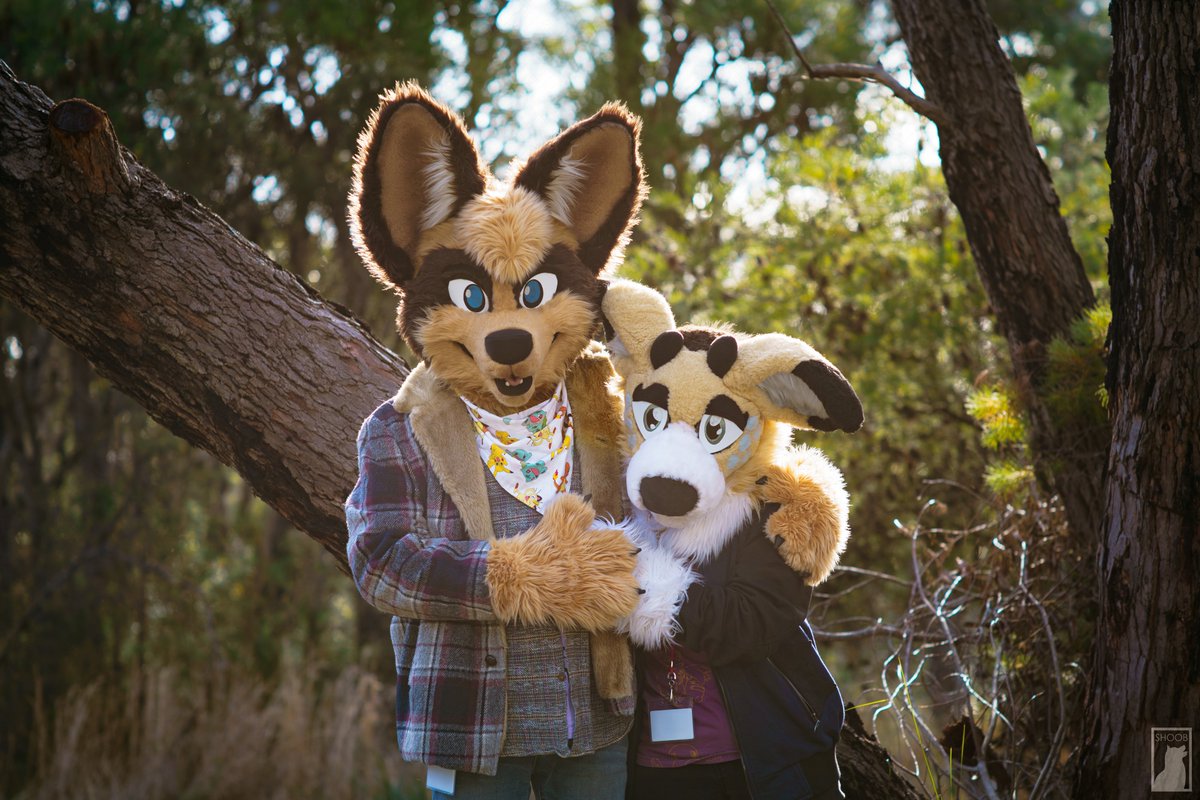 #fursuitfriday Had such a great time at Paws Outdoors! My favourite fox: @Foxdale64 Gorgeous photography by: @shoobphotos