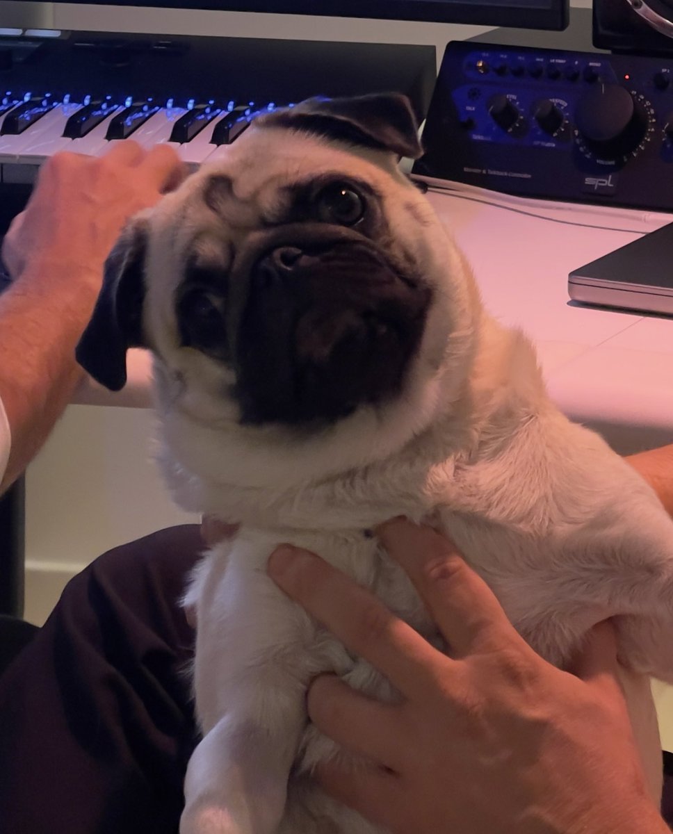 MEDUZA EP. Coming tomorrow 🐶

Link: meduza.lnk.to/MeduzaR1R2