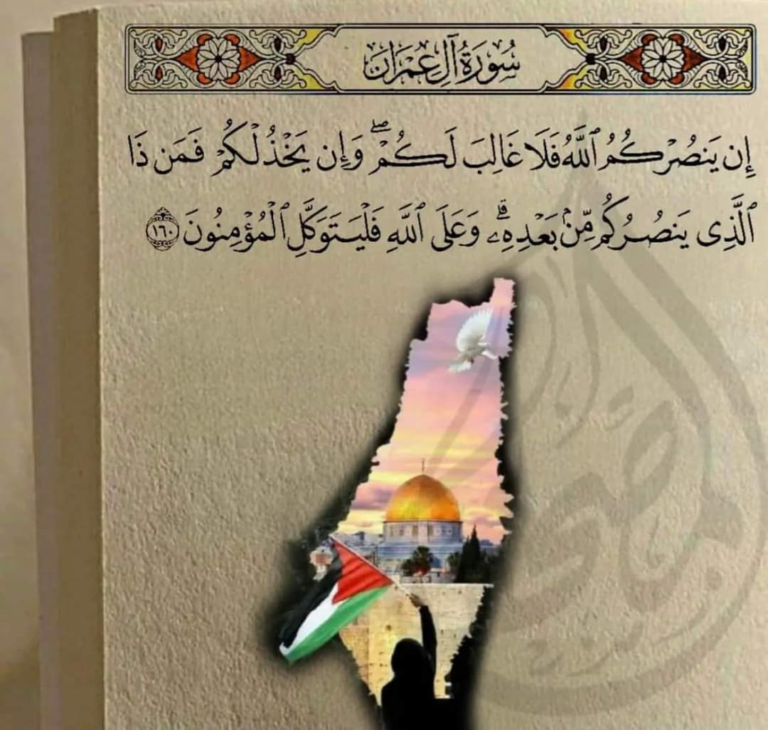 منورة 🍂 (@manarabdrabo) on Twitter photo 