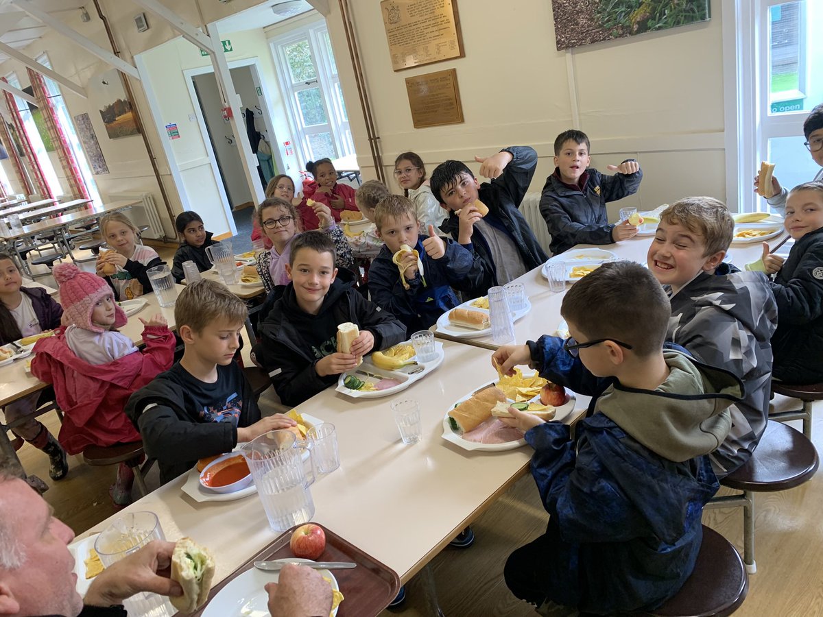 Meadhurst Primary School tweet media