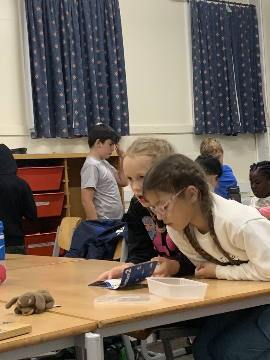 Meadhurst Primary School tweet media