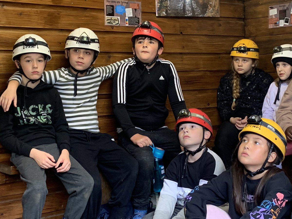 Meadhurst Primary School tweet media