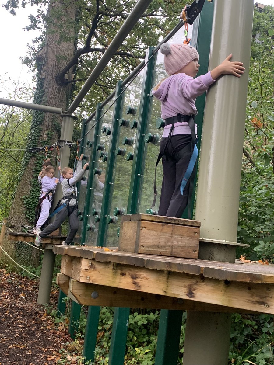 Meadhurst Primary School tweet media