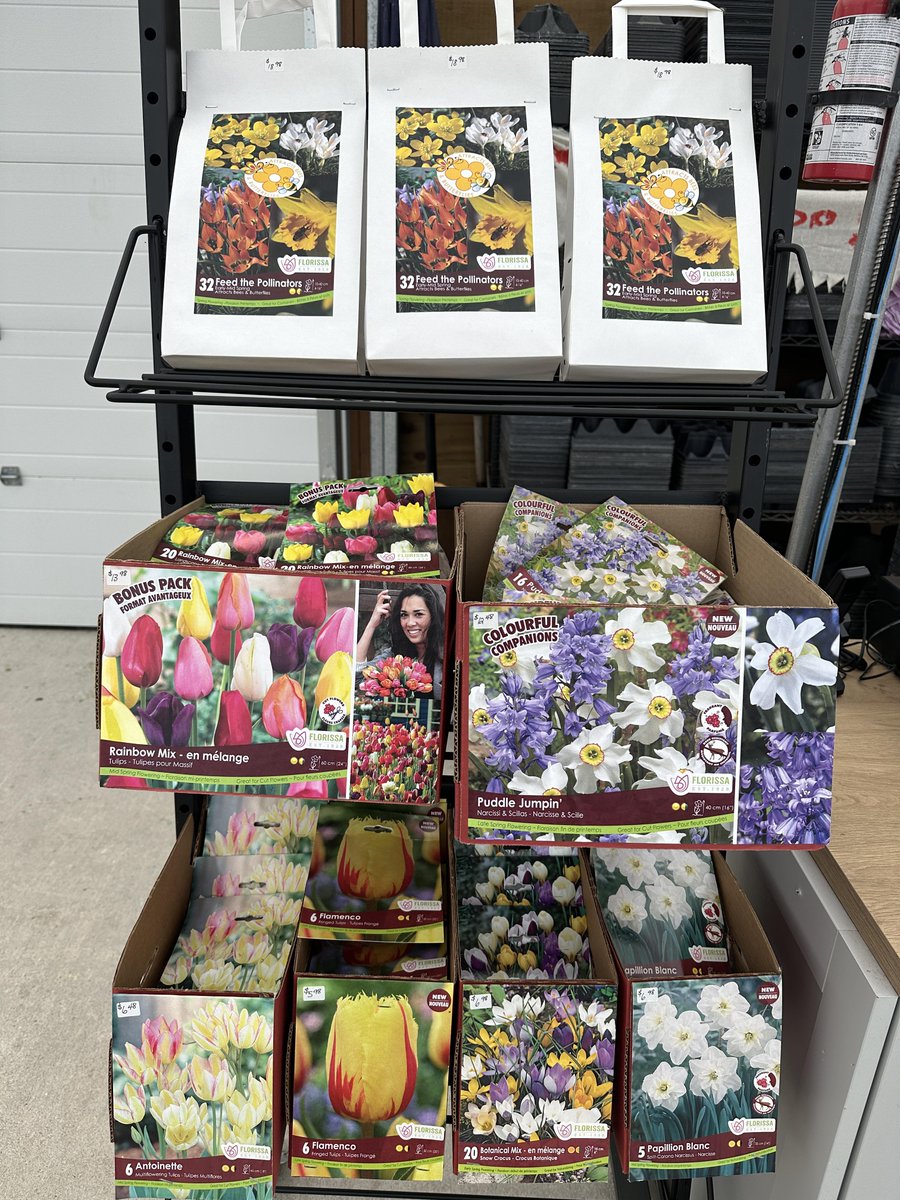 Here's a bloomin' good deal you won't want to miss! 🌷 25% off all Fall Flower Bulbs. 🛒 Hurry, these deals won't last forever so swing by the Prairie Garden Center this week!
#FallFlowers #FallBulbSale #Sale #DiscountedPrices #ShopLocal #Selkirk #Manitoba