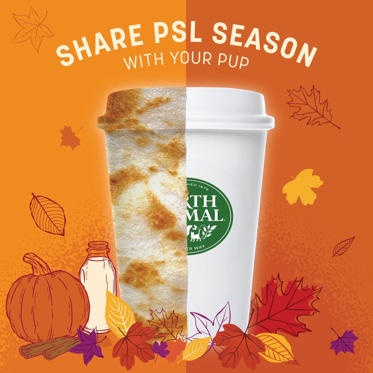 Pumpkin spice season... no longer just for hoomans! bit.ly/3FcVYhZ