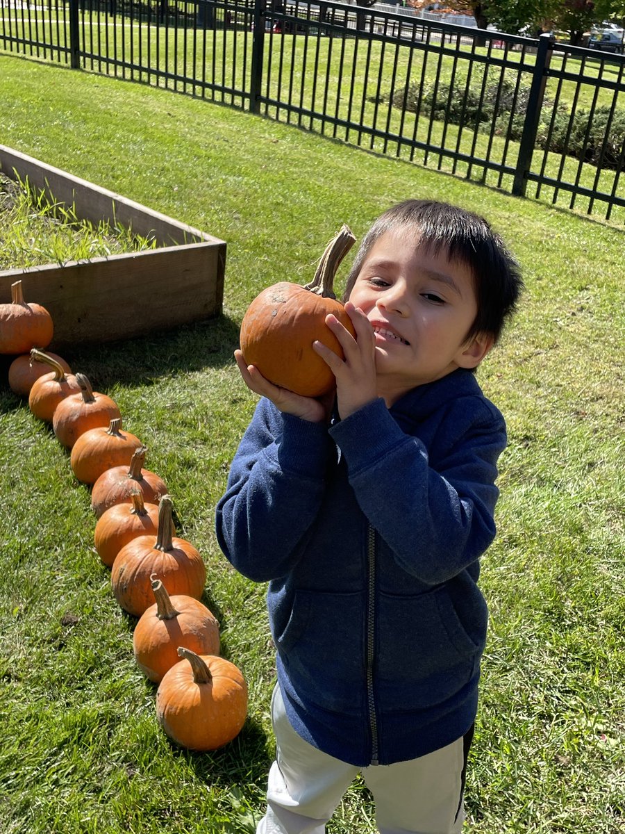GuzinKaptanILP's tweet photo. Today we went to our Pumpkin Patch and picked our pumpkins 🎃
@otmonarchs #112leads https://t.co/inRZgA0zSP