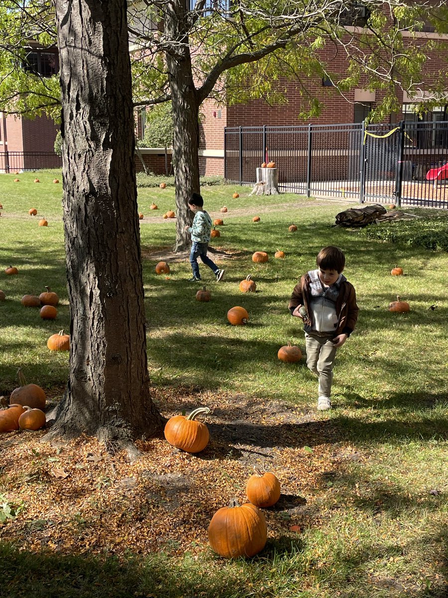 GuzinKaptanILP's tweet photo. Today we went to our Pumpkin Patch and picked our pumpkins 🎃
@otmonarchs #112leads https://t.co/inRZgA0zSP