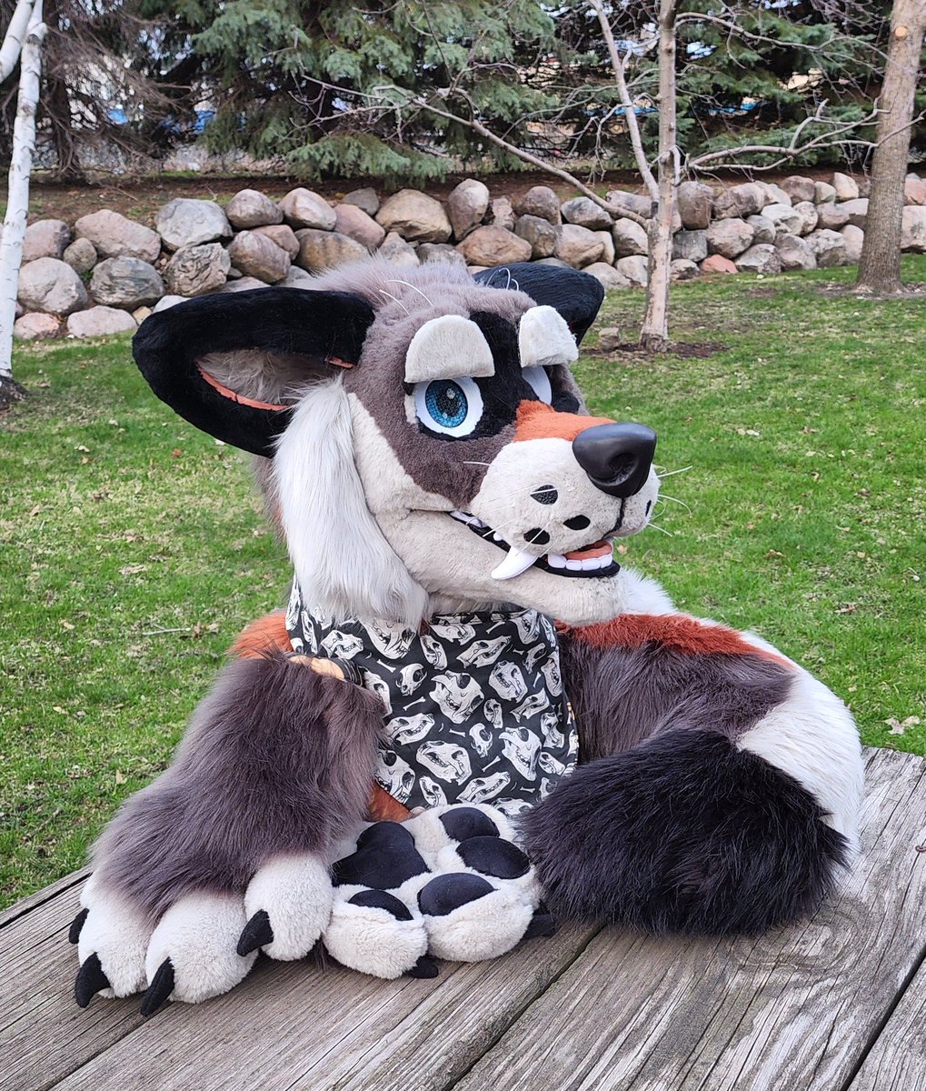 Lupine_Divine's tweet photo. Backing up my previous words on this matter with personal experience.

Concerning the use of paint in suits. This was a costume I made in early 2022. The muzzle line and lip detailing are all blended acrylic paint. https://t.co/aBebs0Ysu8