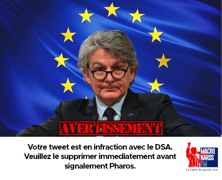 MaxiBernard_'s tweet image. Je pense qu&apos;Elon Musk ne va tarder à se faire tirer les oreilles si vous continuez votre #MacronBashing