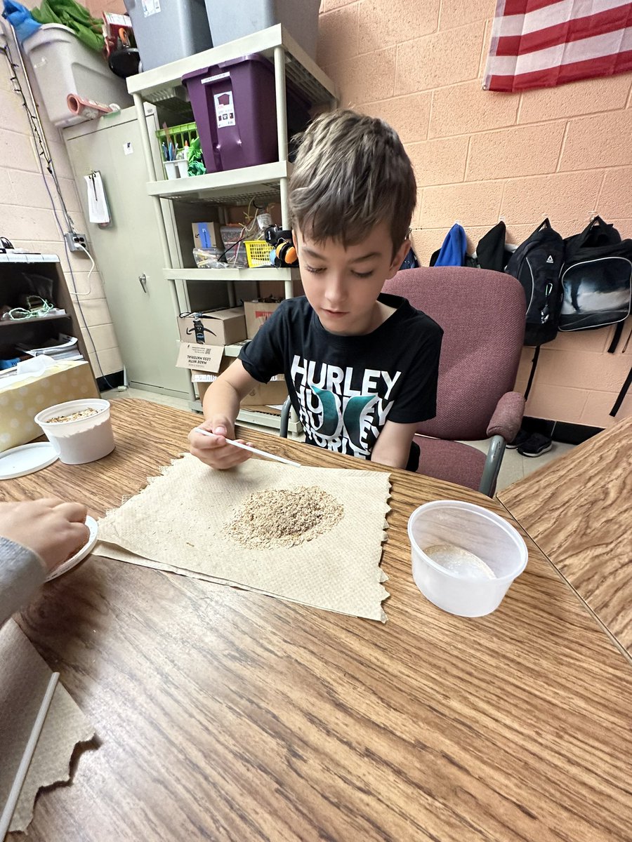 Murphy_NOEagles's tweet photo. Cleaning up after our pets and prepping food!! #ClassPets #Rats #Reptiles https://t.co/bza4ixkCYh