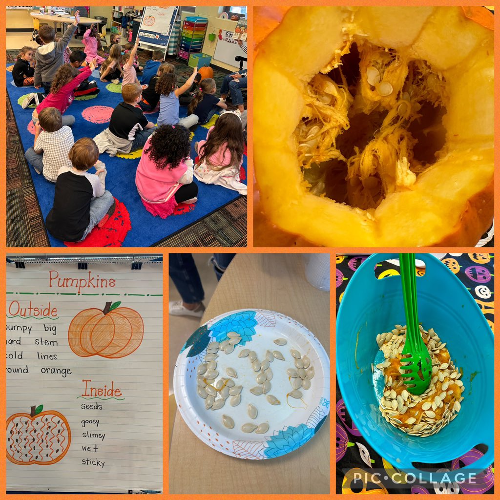 Mrs. Davidson tweet media