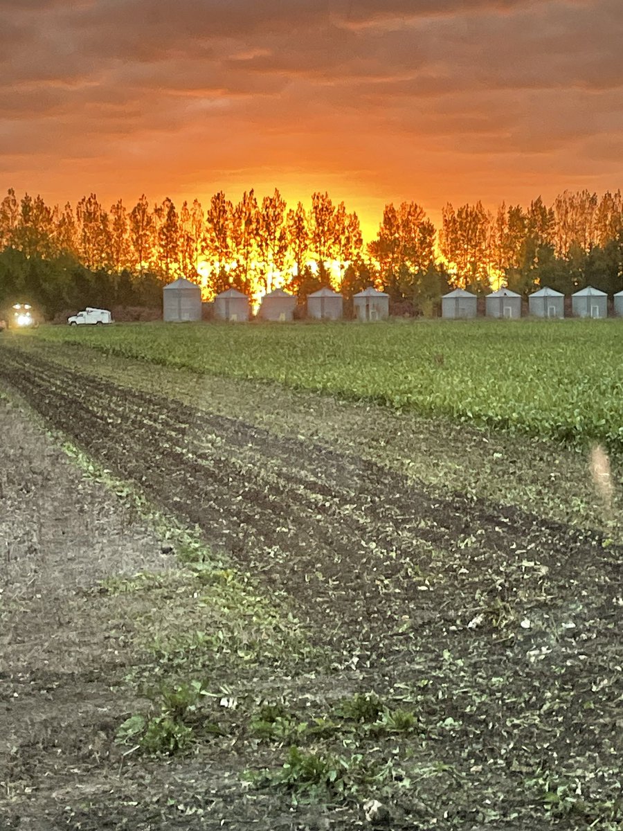 PKozojed's tweet photo. @CrystalSugarCo https://t.co/gj9FDG6Hkx