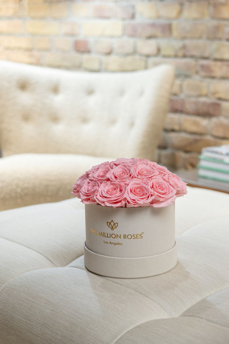 themillionroses's tweet photo. Welcome loved ones to their new home with the warmth and charm of preserved roses. 

#TheMillionRoses https://t.co/BTeLxVZEBW