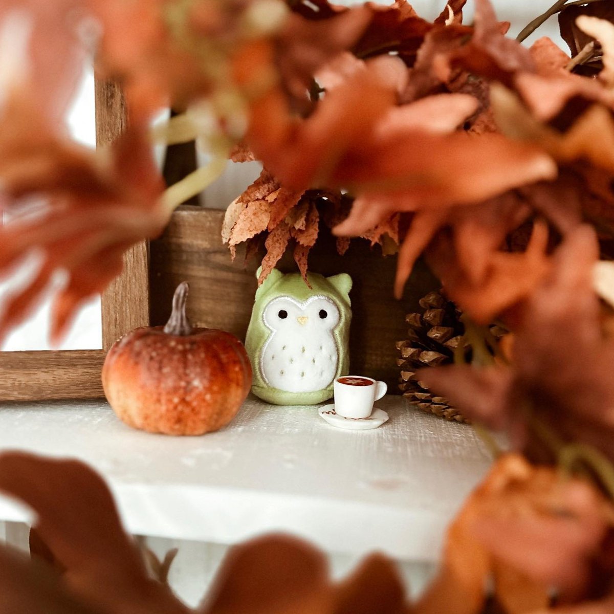 Squishville by Original Squishmallows tweet media