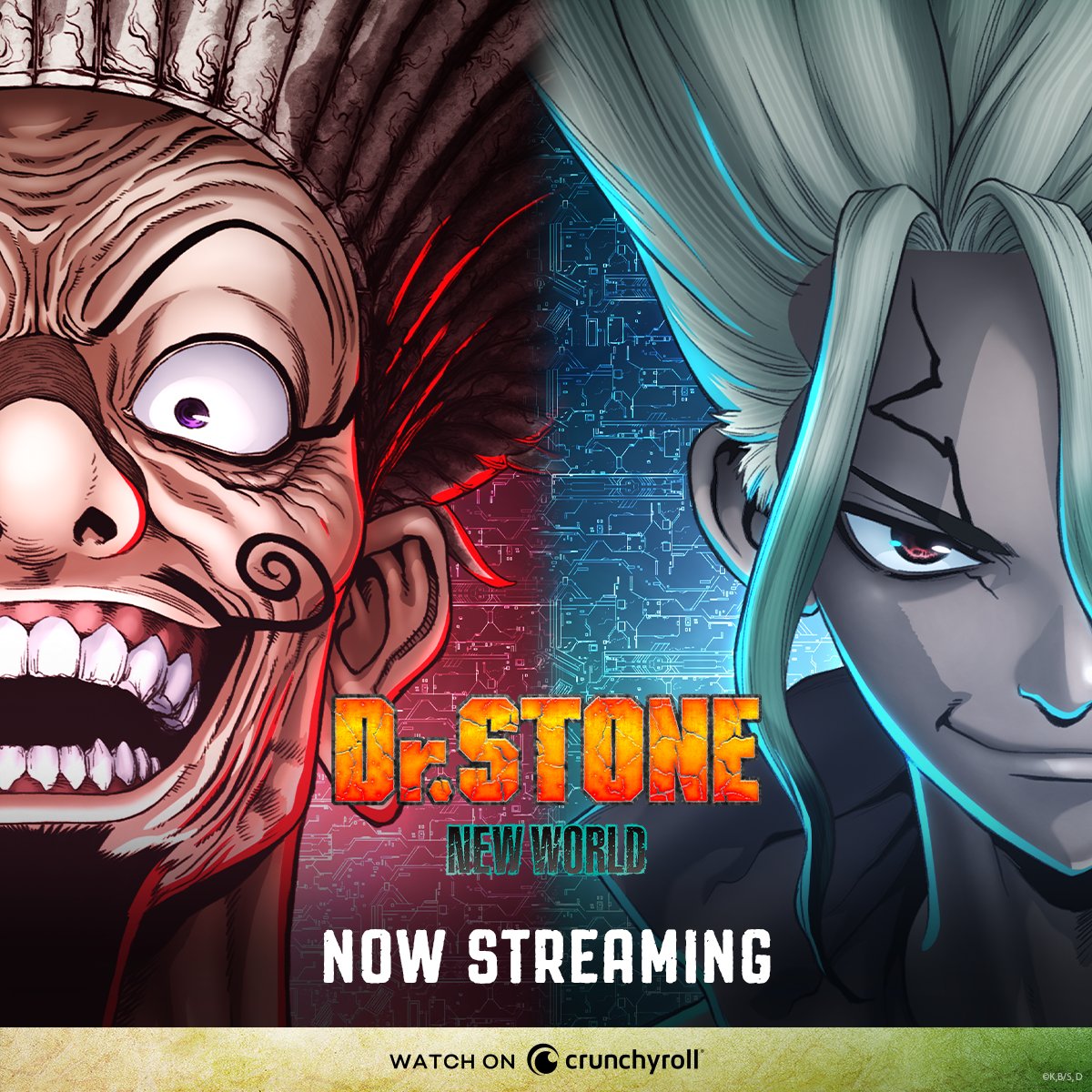 Watch Dr. STONE - Crunchyroll