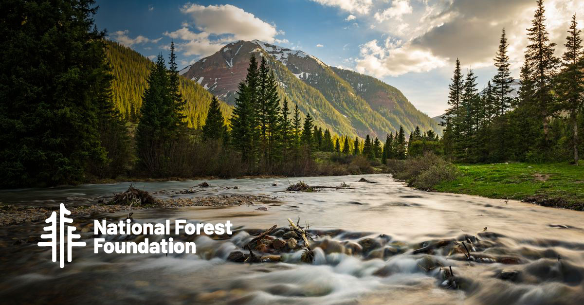 brianjacobsvc's tweet photo. 2. There are many ways to direct our time and resources to fight climate change, but keeping our forests healthy is one of the most important, and it’s an underfunded priority. @NationalForests https://t.co/1A5NpkDtjW