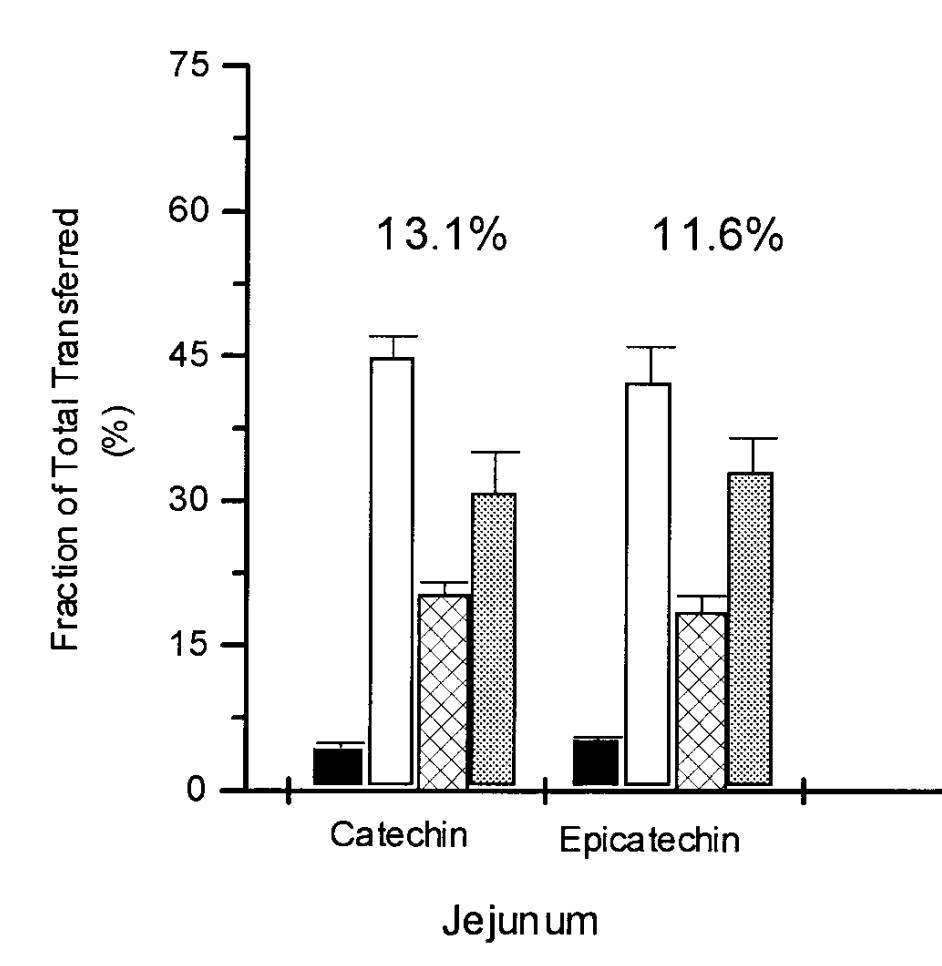 ggkuhnle's tweet photo. It's been more than 20 years that @Prof_JPESpencer and I showed that flavonoids are unable to act as antioxidants once they have been consumed.

Why do we still read so much about flavonoids as antioxidants?

https://t.co/wnlqoTclMQ https://t.co/FEELPuRbQO