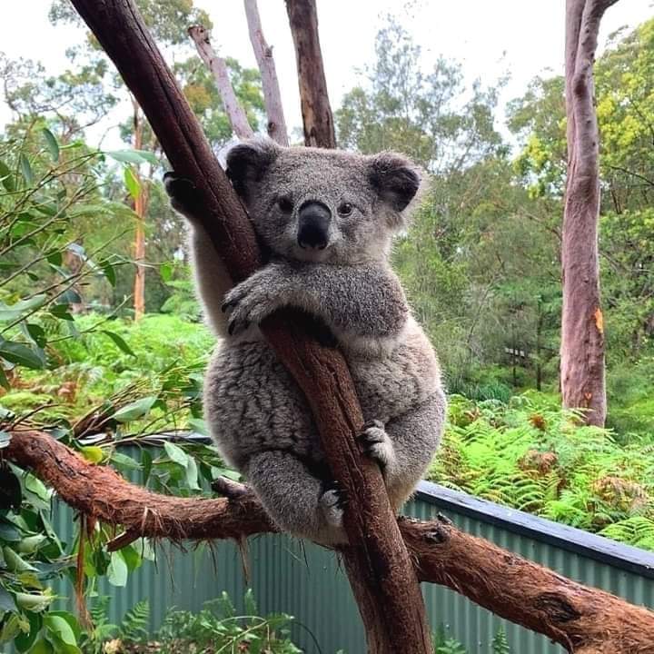 Perfect short ❤️