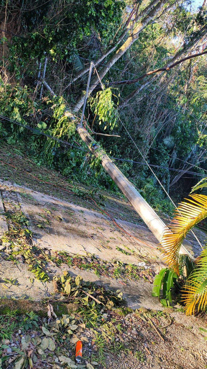 doragtz's tweet photo. @CFE_Contigo @GobiernoMX @GobiernoJalisco @PuertoVallarta  cuando van a venir a Mismaloya? Ya llevamos dos dias sin luz y CFE comenta que queda en 4 horas. ¿Cómo va a quedar en 4 horas si están los postes caídos? 
La comida se echo a perder y no podemos salir de la zona. https://t.co/GK9XO6p842