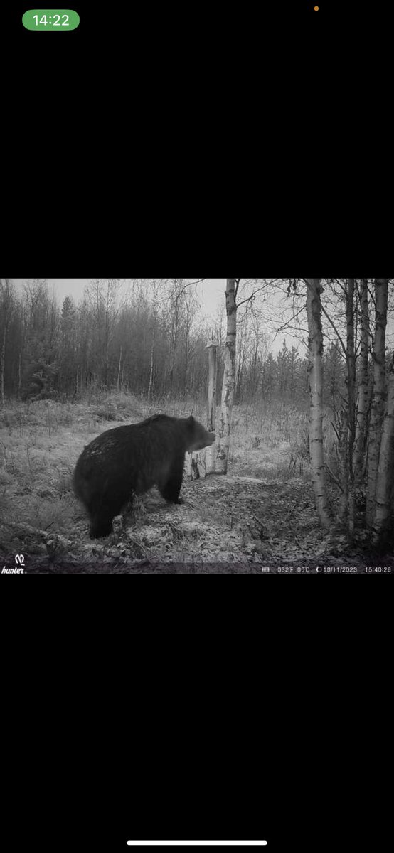 Robin Vikström tweet media