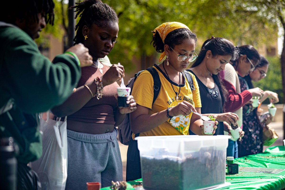 UNT Student Affairs tweet media
