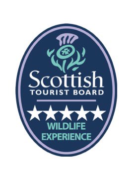 Following a recent ‘secret shopper’ on one of our tours, we are thrilled to continue our FIVE STAR WILDLIFE EXPERIENCE award in the @VisitScotland accreditation scheme. Massive well done and thanks to @dunnjons, leading on the day. 1/2