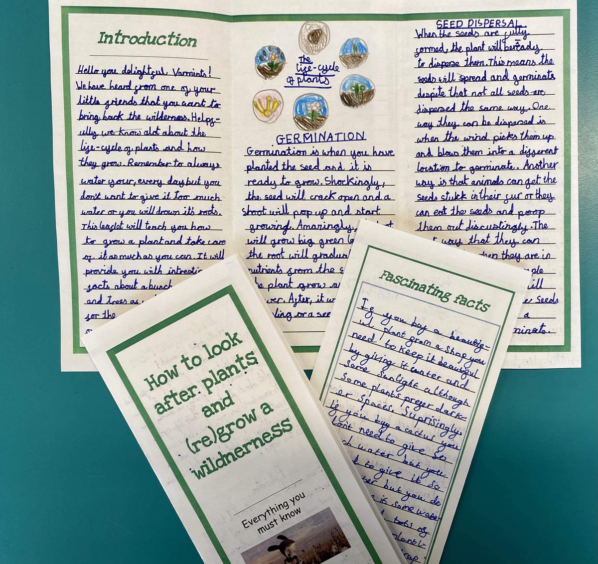 Thank you @theliteracytree Year 4 loved their first unit based on Varmints this term. And they produced wonderful leaflets for the Varmints offering advice on how to restore their wilderness and bring nature back. #creativewriting #savethearth