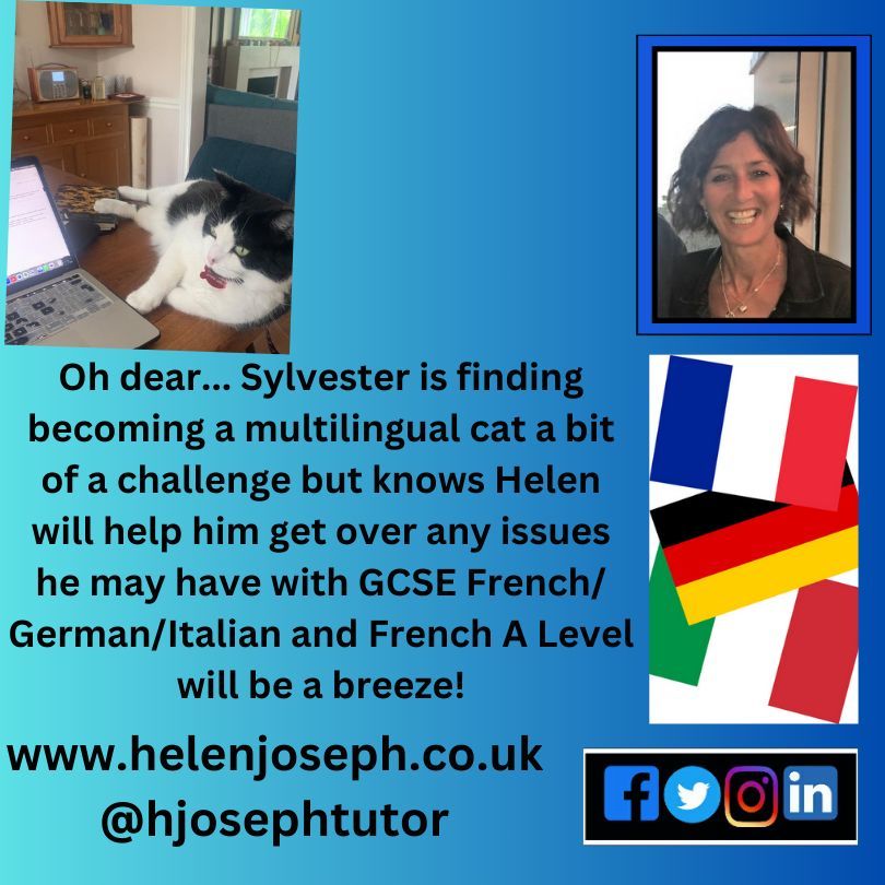 I can help your child with #French #German or #Italian - all to #GCSE &amp; French to #Alevel #IB - Sylvester will testify I can help get to grips with them!  Visit my website to find out how. #Individuallearning #Privatetuition #Languagelearning #Exams #Homelearning
