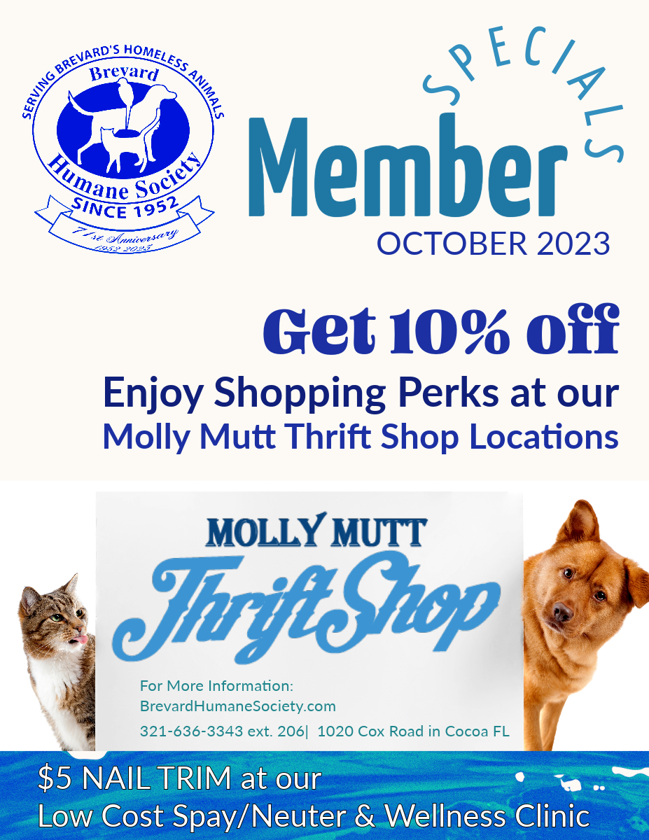 Brevard_humane's tweet image. October Member Specials, come check out what we have to offer. brevardhumanesociety.org/memberships/
#brevardhumansesociety #Membership #HelptheAnimals #MollyMuttThrift