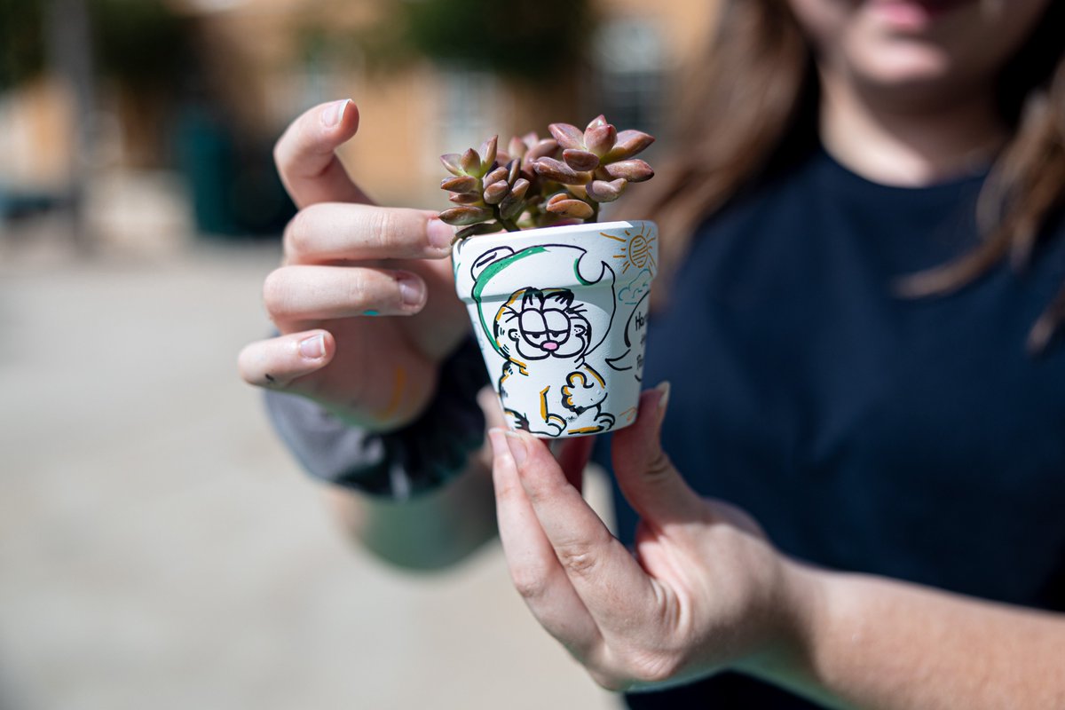 On #WorldMentalHealthDay, @untSHWC held an event on campus called Self-Care & Succulents where students got a chance to take a break from school and create their own succulents. #UNT To see all the photos from Self-Care & Succulents, visit: untstudentaffairs.smugmug.com/SHWC/Fall-2023…