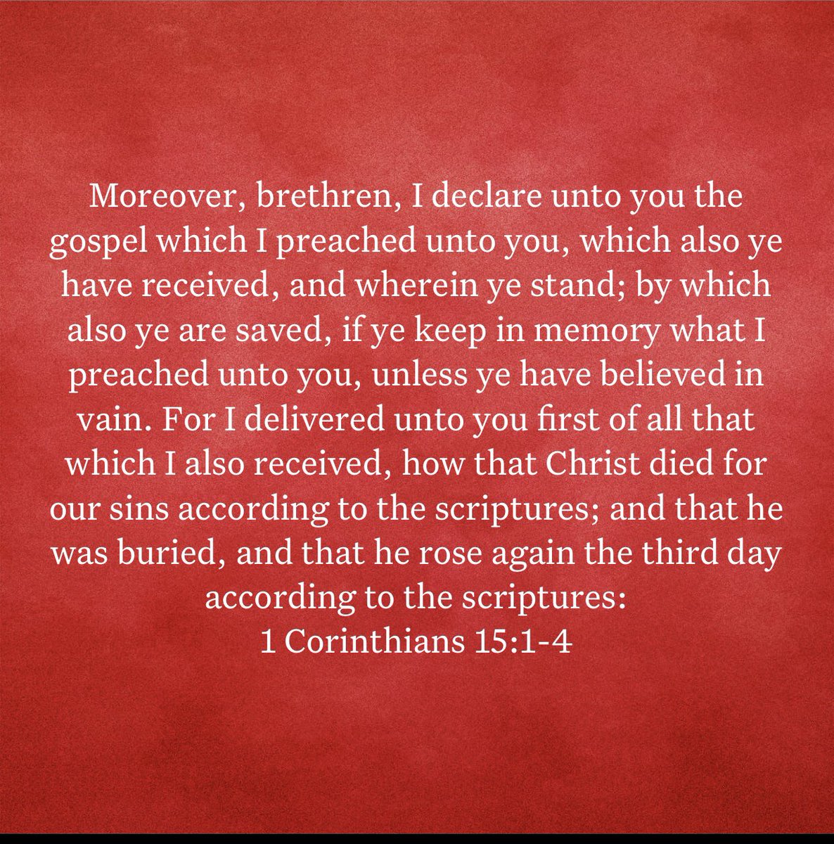 ✝️Dena tweet media